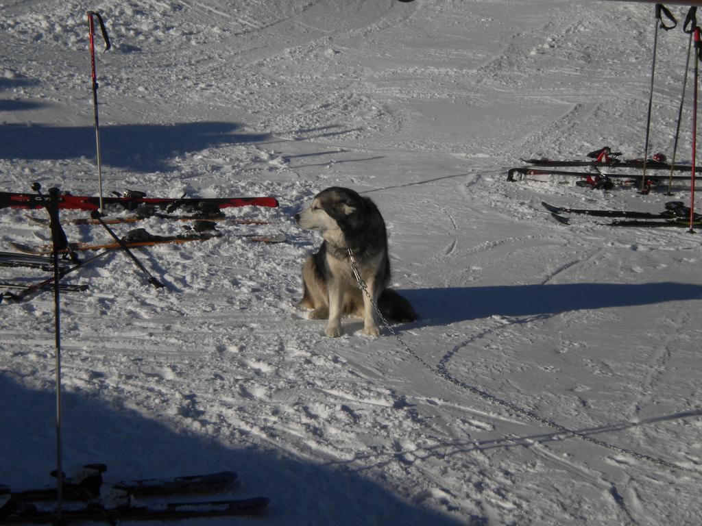 Rifugio Belvedere Champoluc